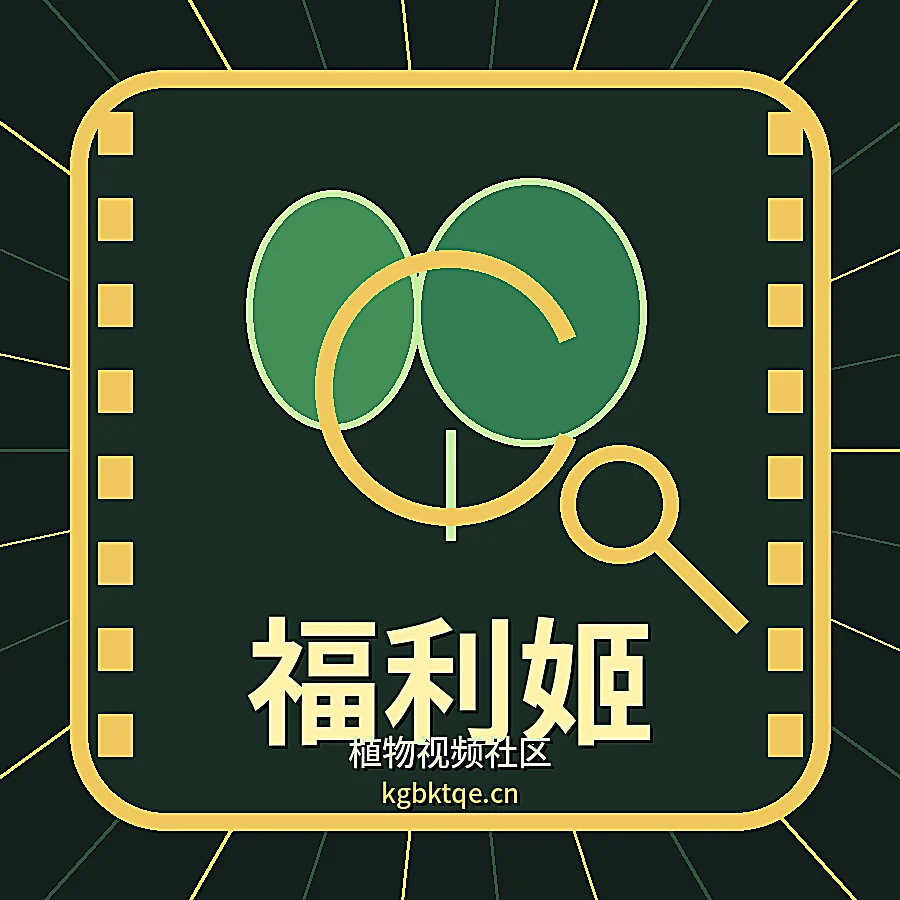 福利姬